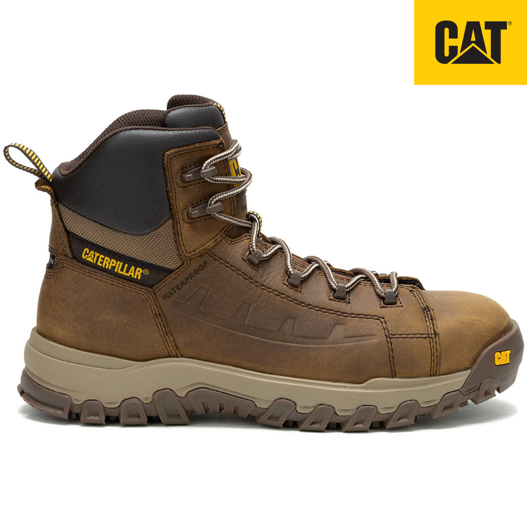 CAT THRESHOLD REBOUND WP NM CT